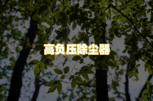 高负压除尘器